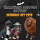 halloween costume contest
