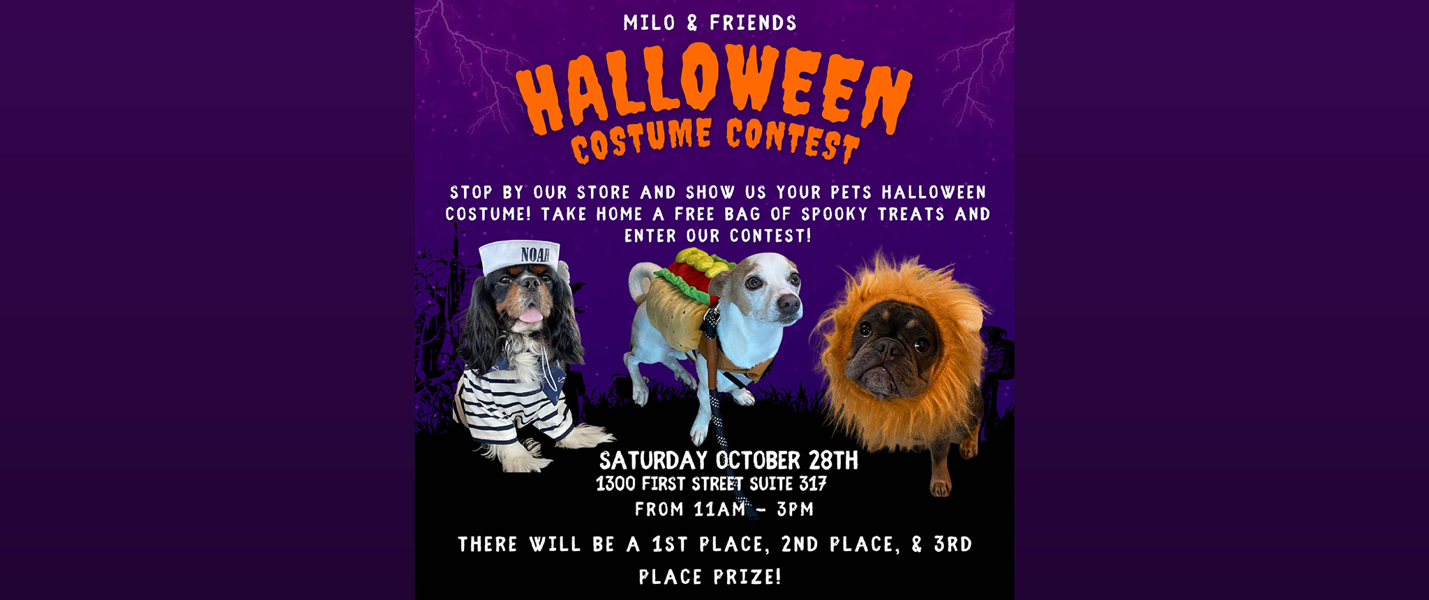 Halloween Costume Contest Hero First Street Napa