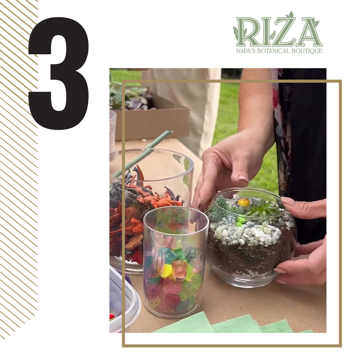 Riza Plants, Create Your Own Terrarium in downtown Napa